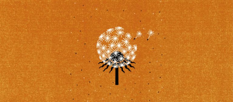 Pogledajte “Raspad sistema” na volimdokumentarce.net i uključite se u razgovor o svijetu u kojem živimo.